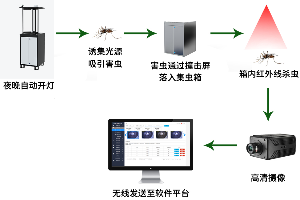 太陽能蟲情測(cè)報(bào)燈 太陽能蟲情測(cè)報(bào)燈